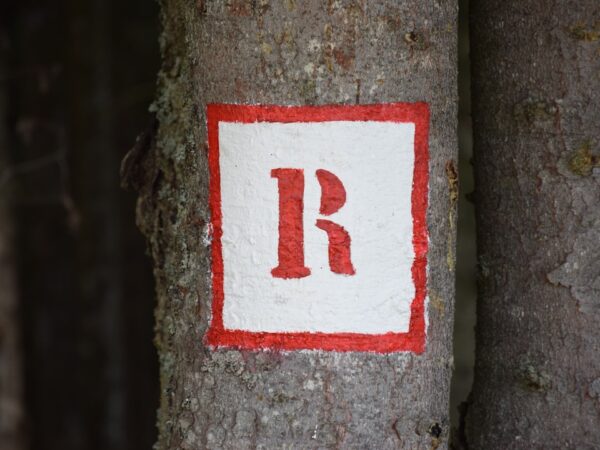 Photo Renaturalization