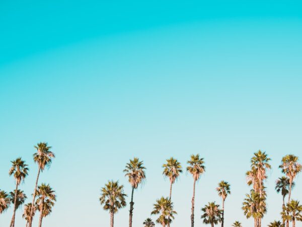 Photo Shared multifunctional spaces