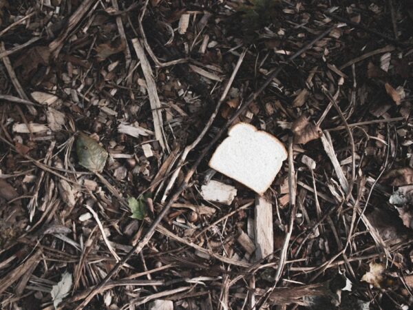 Zaawansowane materiały biodegradowalne: rewolucja w zrównoważonym rozwoju 7 Photo biodegradable materials