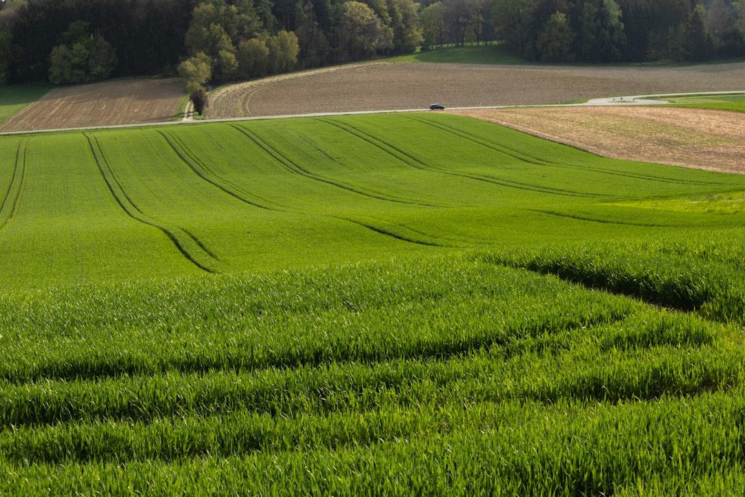 Photo Regenerative agricultural practices